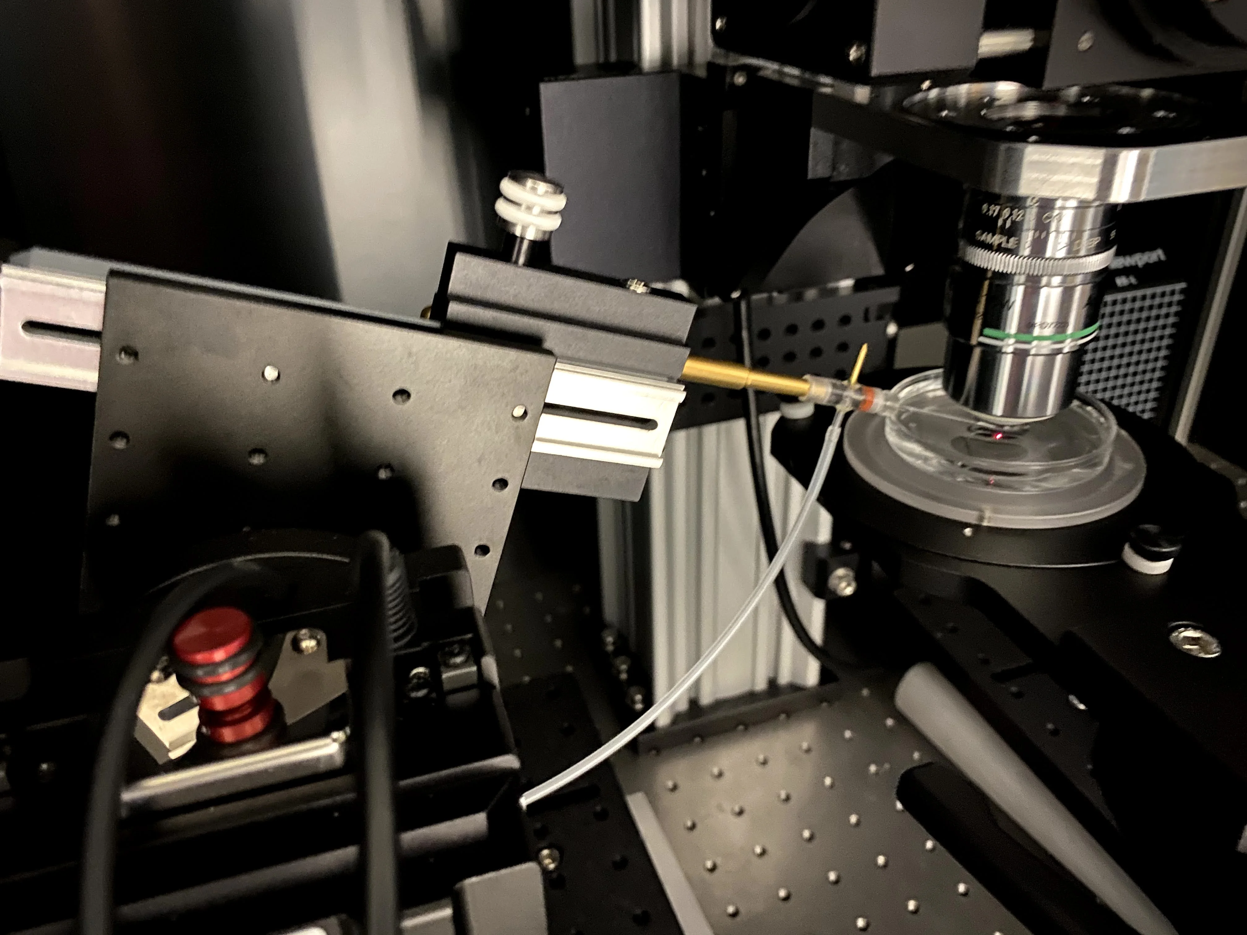 Projects · Bahl lab