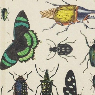 Insect Journal Club